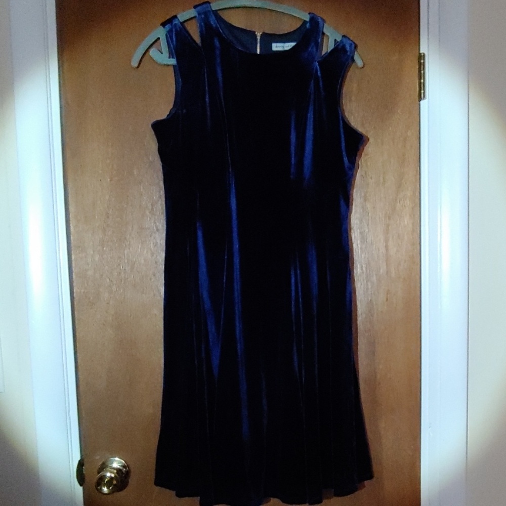 Blue velvet Dress